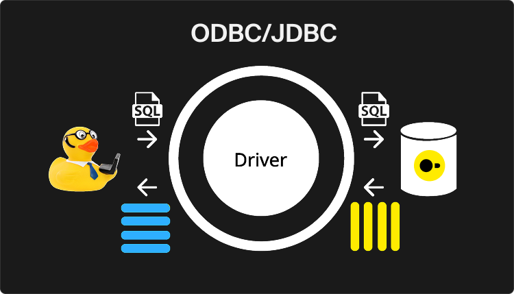 DuckDB-JDBC-ODBC